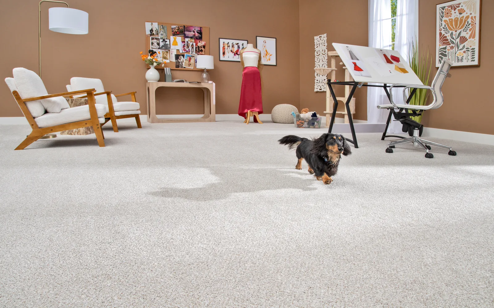 Carpeted family room for warranty-minded carpet care