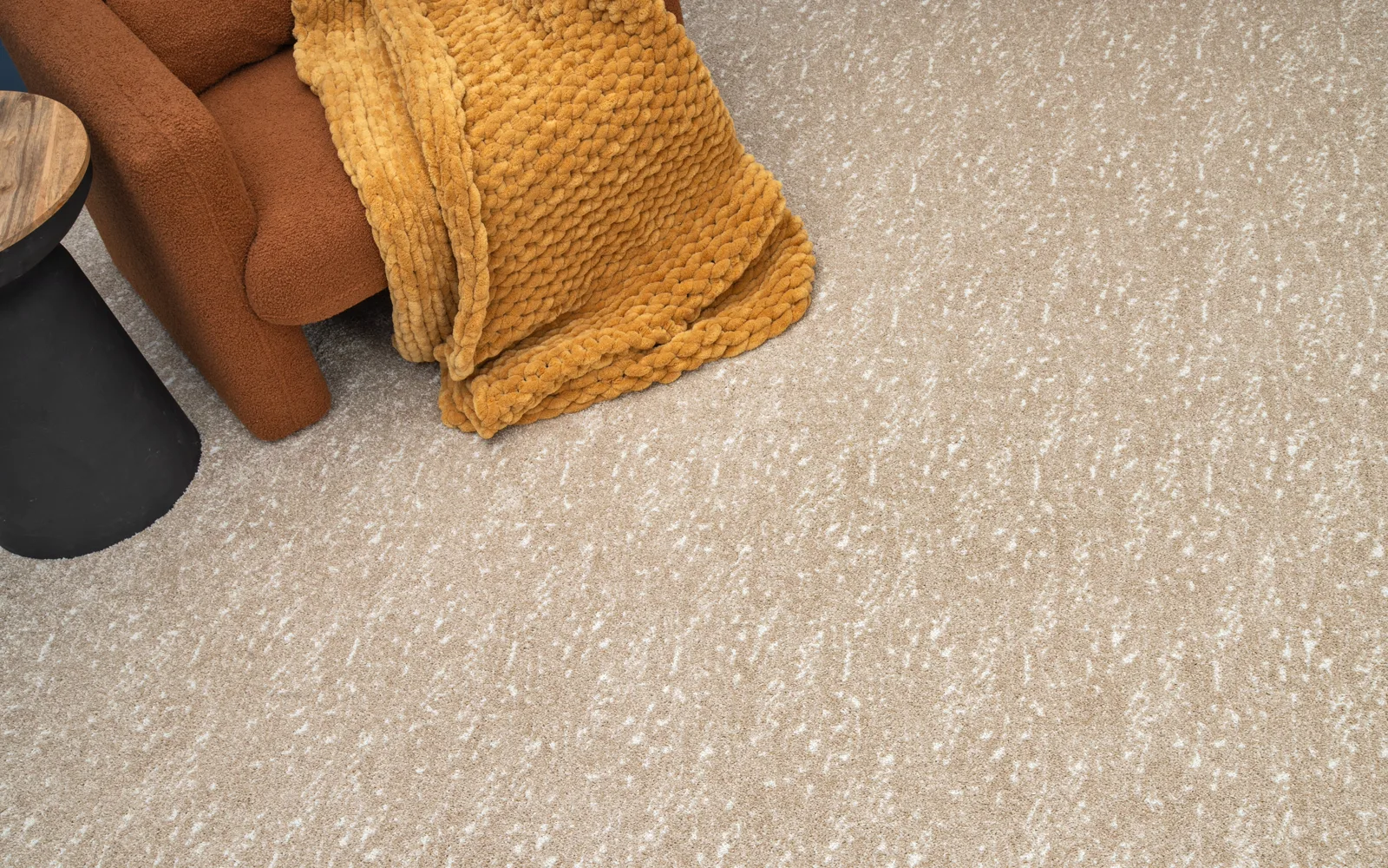 Pet-friendly carpeted room representing daily life and warranty-minded care