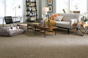 Carpet Flooring
