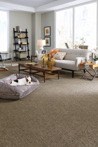 Carpet Flooring