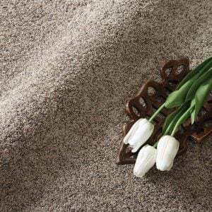 Carpet Flooring