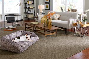 Carpet Flooring
