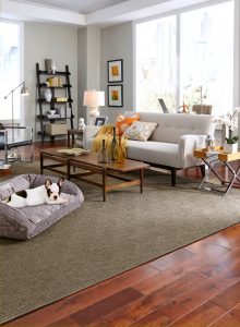 Carpet Flooring