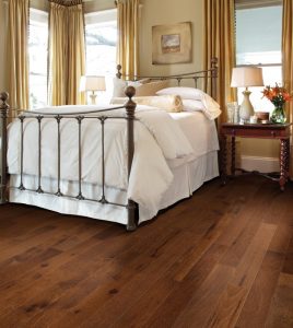 LAMINATE - Canterbury 279 Dijon