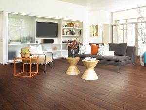 Modern living space with hardwood floors