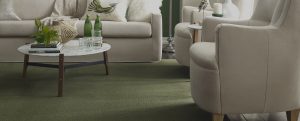 Green carpet in modern living space