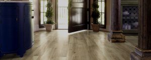 Hardwood Flooring in rustic entryway of Chicago home