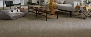 Carpet