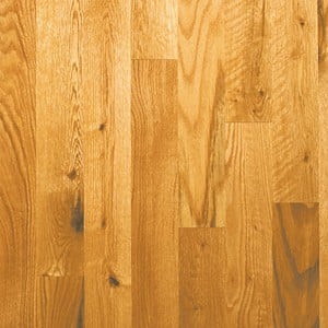 2-Common-Red-Oak 300