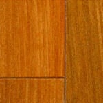species_bteak
