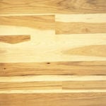 species_hickory