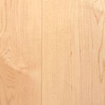 species_maple