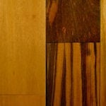 species_tigerwood
